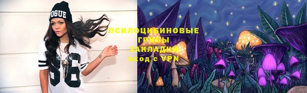 ALPHA PVP Алексин
