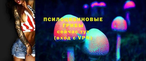 стафф Алзамай