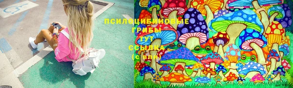 спиды Алексеевка