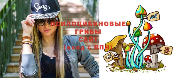 стафф Алзамай