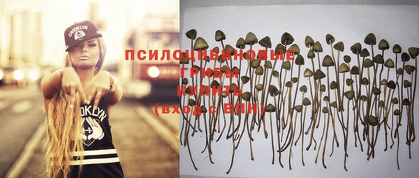 стафф Алзамай